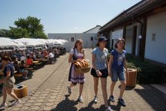 DSC04958