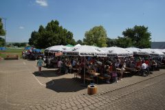 DSC04960