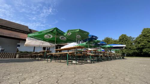 Foto-08.06.23-09-21-40